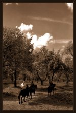 The sun was still high ... / ***
