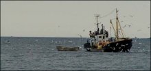 Fishermen ... / ***
