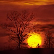 Abendspaziergang / ***