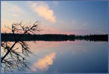Kaleidoscope of Nature / ***