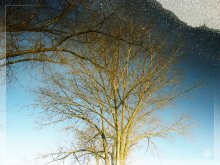 Spiegelung / ***
