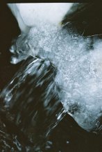 Beard water / ***