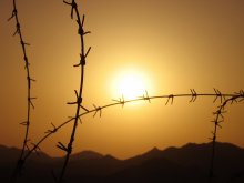 The border ... / ***