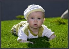 On the cool grass ... / ***
