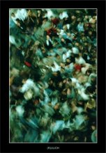 Motley crowd / ***