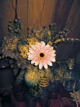 Still Life with Flowers / ***