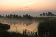 Still Dawn / ***