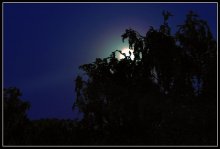 Yesterday the moon / ***