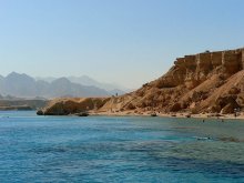 Mediterranean / ***