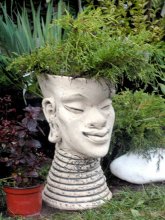 "African" pot / ***