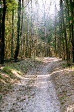 Road / ***