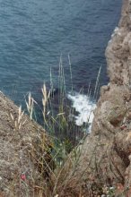At the edge of the Earth / ***