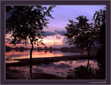 Photo / ***