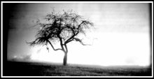 ghostly landscape / ***