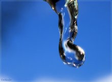 Live Moisture / ***
