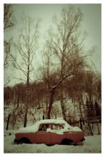 muscovite / ***