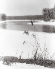 Misty solitude .. / ***