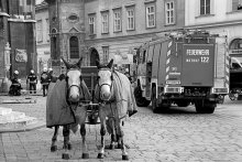 Two witnesses / ***