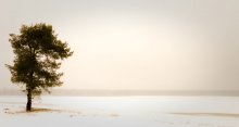 One soldier in the field / *****