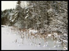 Beach in ice / ***