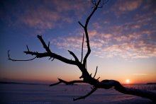 Snow Desert / ***