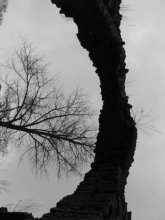 Anschluss / ........................