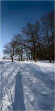 About the photographer's shadow as an integral part of the landscape ... / ***