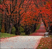 Crimson Gasse / ***
