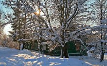 Winter colors / ***