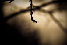 Große Welt der kleinen Reflexion / ***