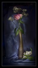 Simply was not enough light:) / -----