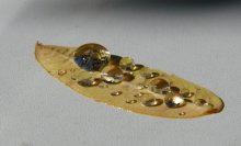 Dew / ***