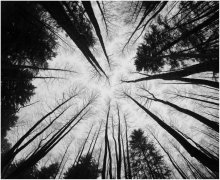Fear of the unknown / ---------
