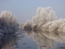Noon in the floodplain of the river Polesie / *****