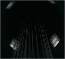 Untitled / ***