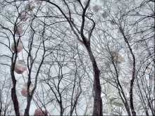 Morning. Gorky Park. Ferris wheel. Fog. / ------