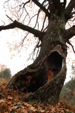 Helloween / ***