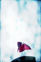 (1) / /////