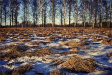 Autumn-winter rhythms / *********