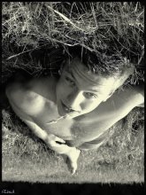Andrew / ***