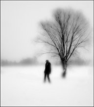 Chercher d'hiver / //////