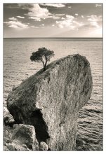 Hermit / ***