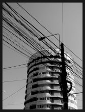 Confusion / ***