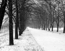 philosophy winter / *******