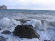 wave / ***