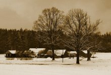 Farm (repost) / ***