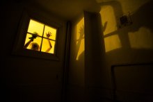 doll (silent games) / .......