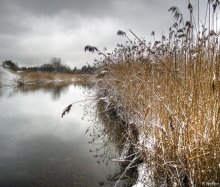 Winter water / ***