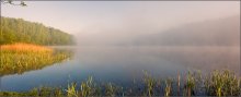 Foggy outlook / ***