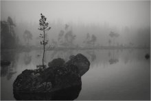 The Nature of Things, or UNITY YOUTH AND ETERNITY / ***